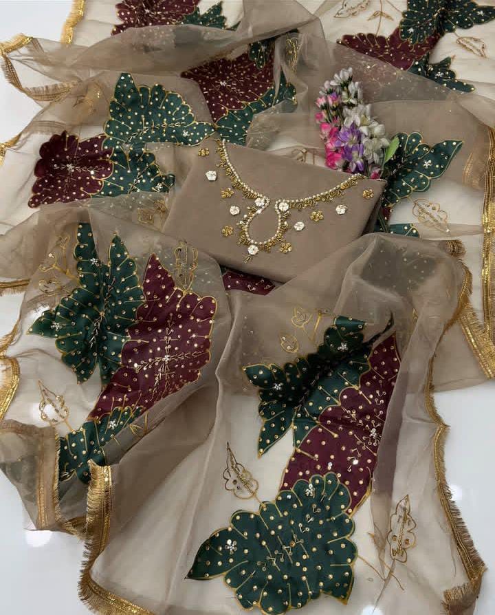 Heavy Fancy Organza Duppata 2 Piece Dress 👗